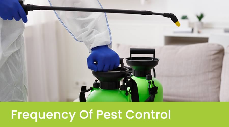 How frequent do you need pest control?