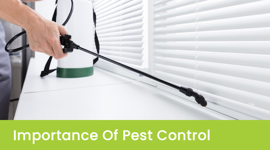 Why Is Pest Control Important?