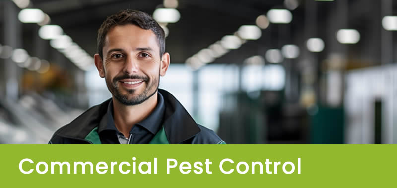 Professional Commercial Pest Control Sydney