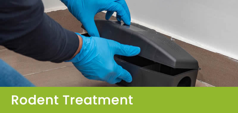 Rodent Treatment Sydney NSW