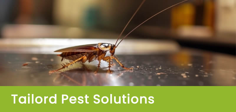 Tailored Pest Control Solutions for Your Business