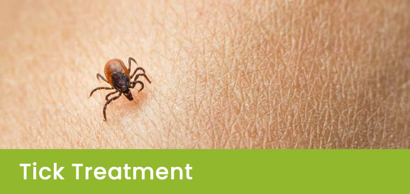 Professional Tick Treatment in Sydney - NSW