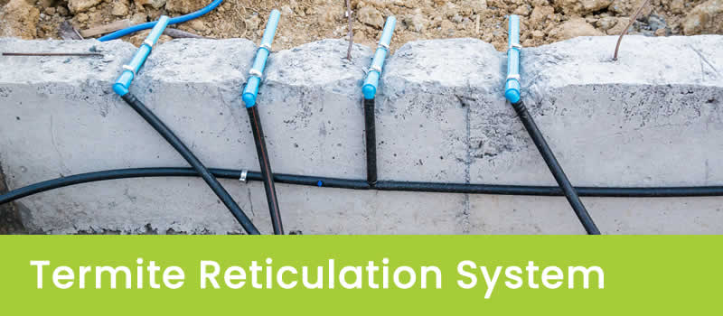 Termite Reticulation In Sydney